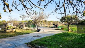 Ref. 111 – Finca Rústica- Mallorca.
