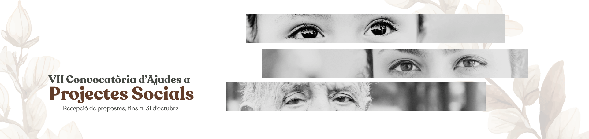 Proyectos Sociales_carrusel
